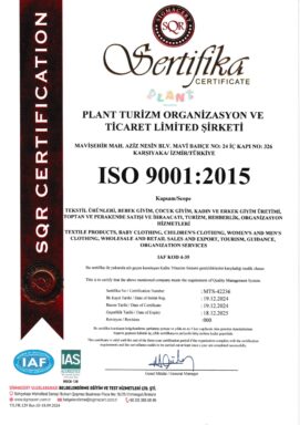 Plant ISO 9001 2015 page 1